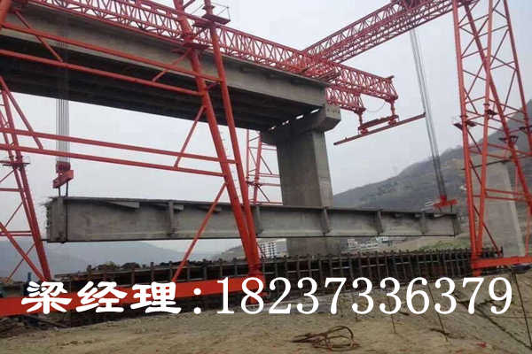 福建福州門式起重機廠家