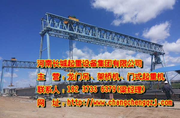  福建莆田單梁門式起重機(jī)