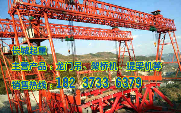 天津門式起重機(jī)廠家