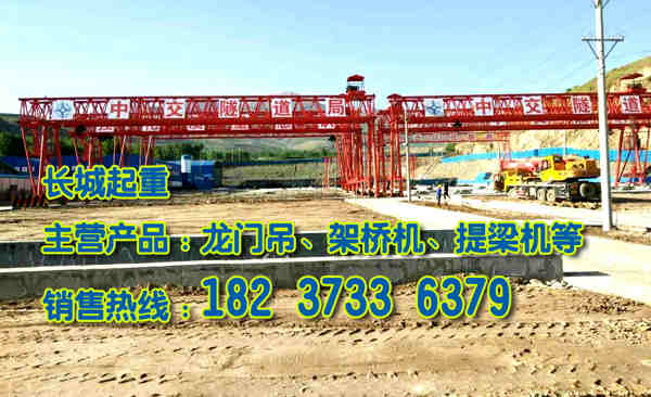 湖南株洲門式起重機(jī)廠家